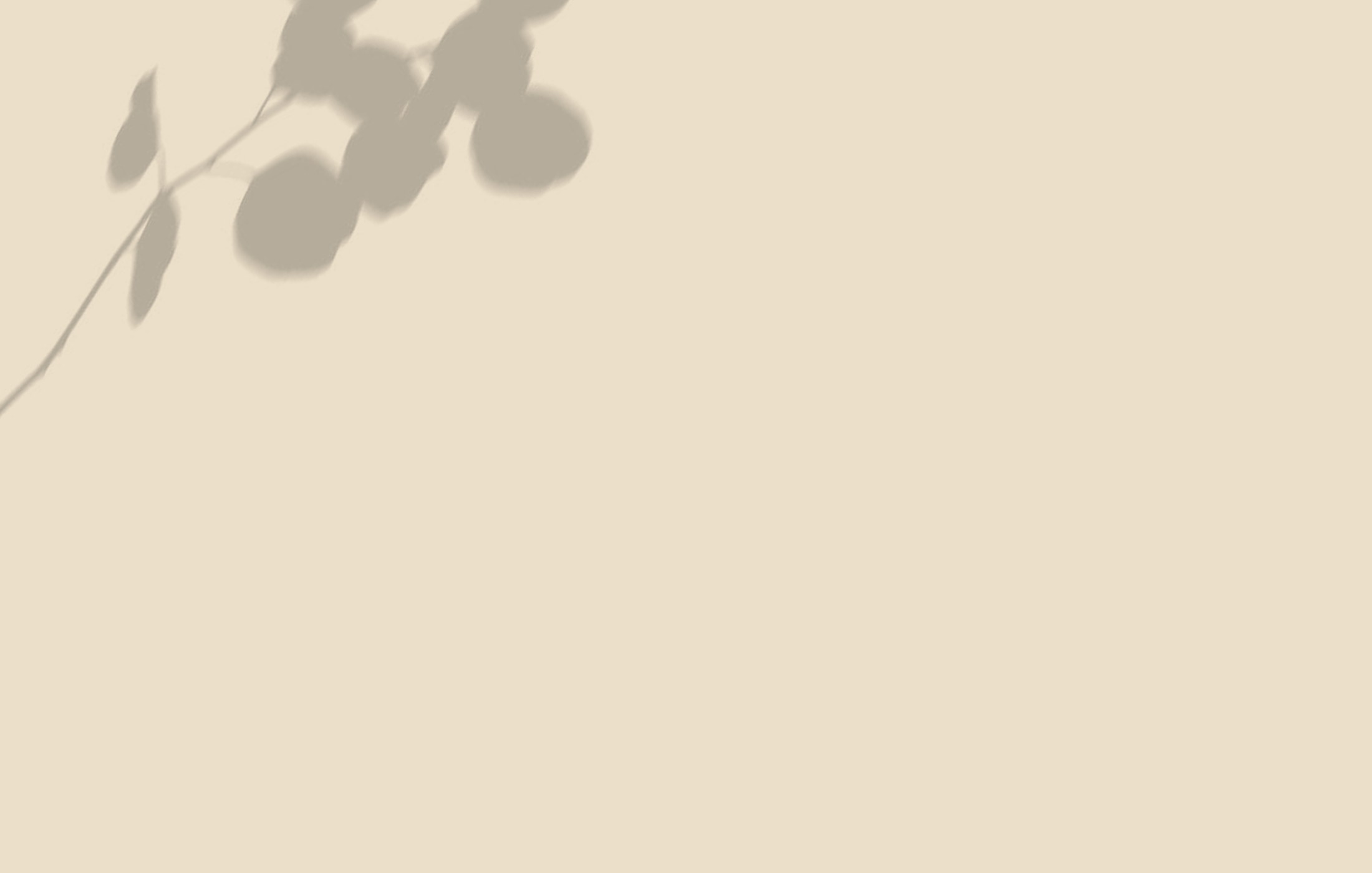 back-cover-1