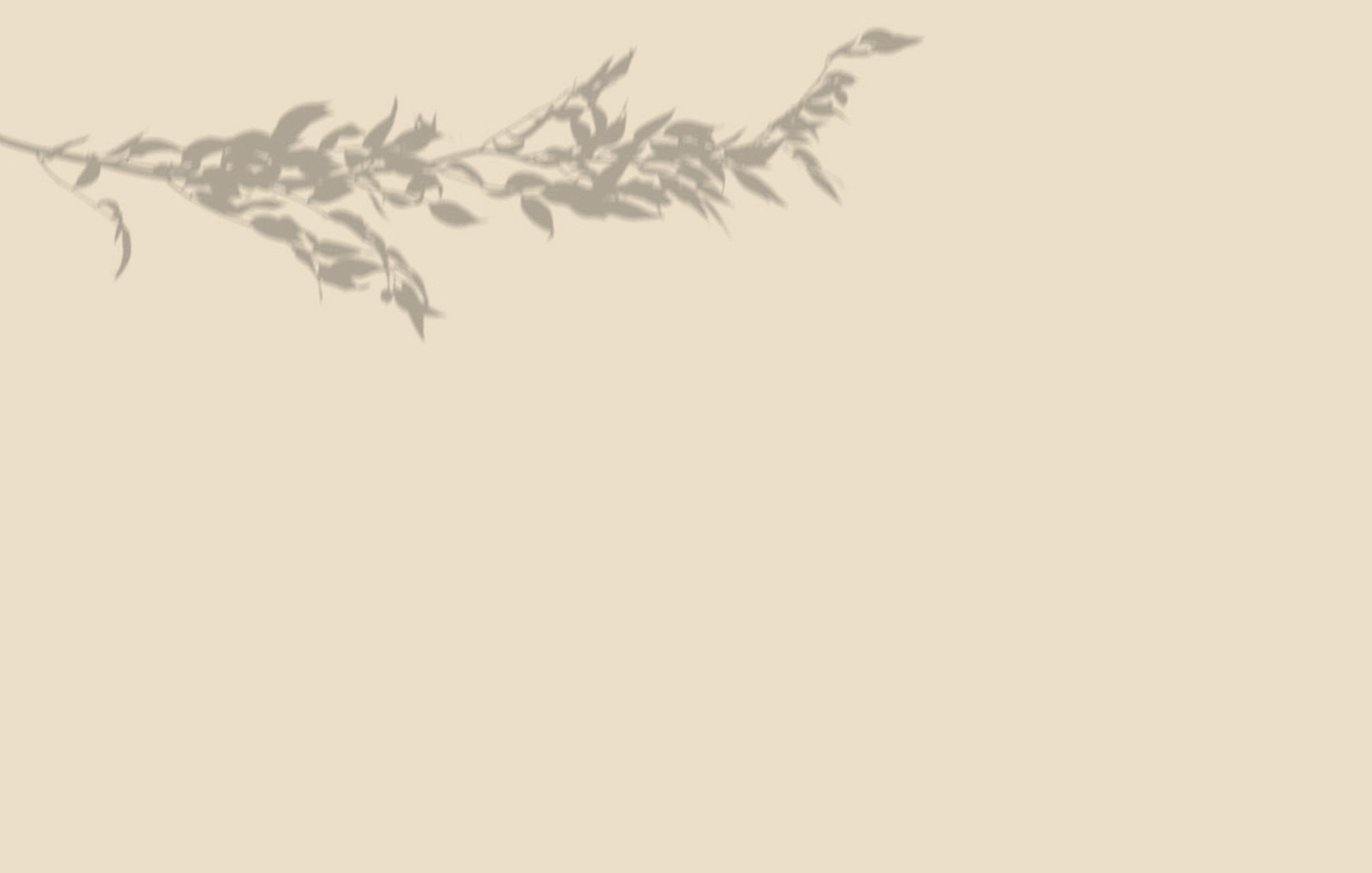 back-cover-3
