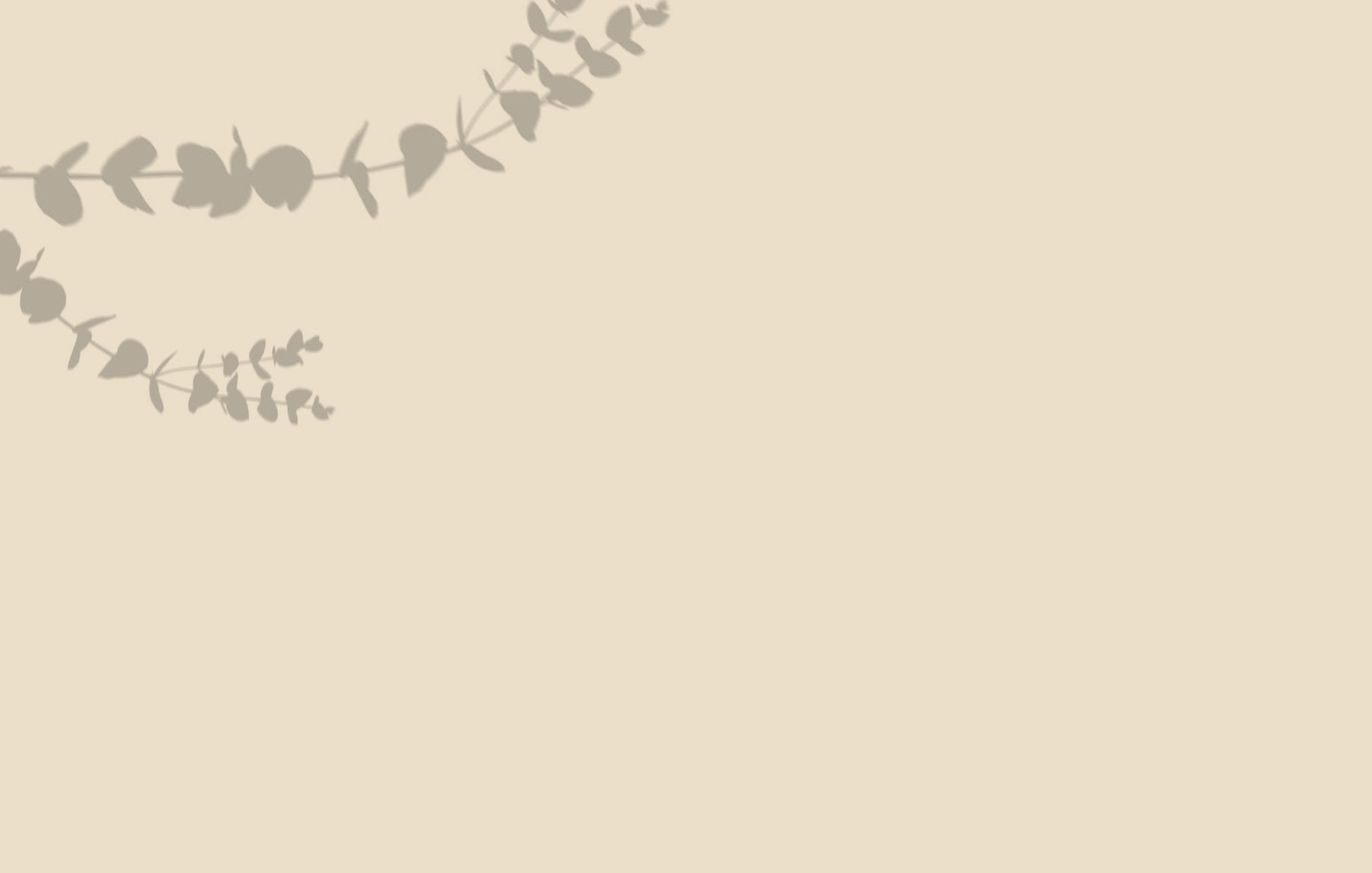 back-cover-5