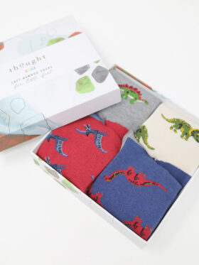 Σχεδιο δεινοσαυροι-Bamboo-4-Pack-Kids-Socks-Gift-Box-in-Multi-1