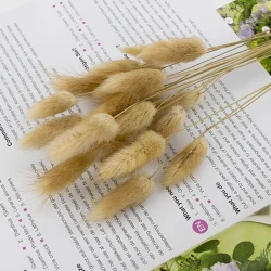 Dekoration-Natural-Dried-Bunny-Tails-Bouquet-Flowers-Rabbit-Tail