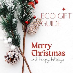 Οικολογικά Χριστουγεννιάτικα δώρα – Eco Christmas Gifts