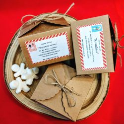 Soy Wax Melts-Festive-6 τμχ