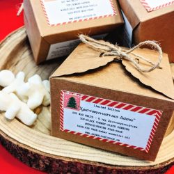 Soy Wax Melts-Festive-6 τμχ