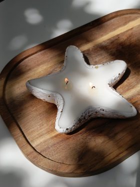 Concrete Starfish-Soy candle